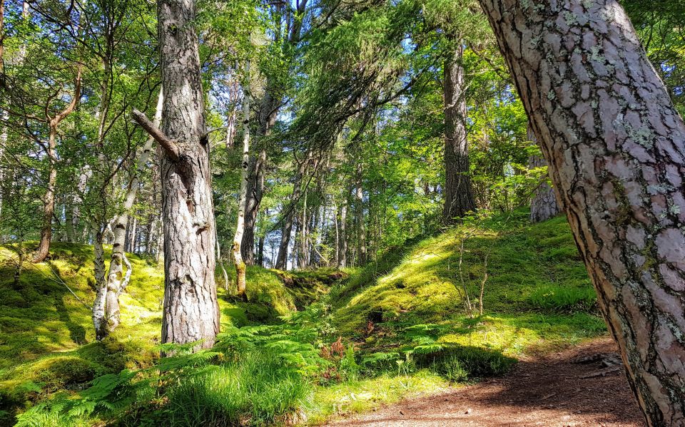 Inverness: Private Secret Hike to the Shores of Loch Ness - What to Bring