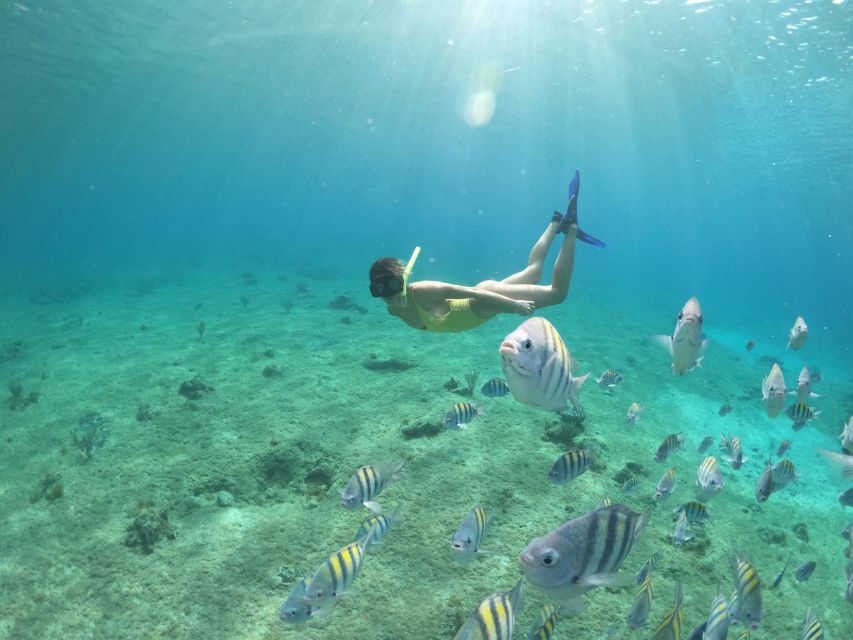 Invisible Boat Snorkeling Adventure in Cozumel - Customer Reviews