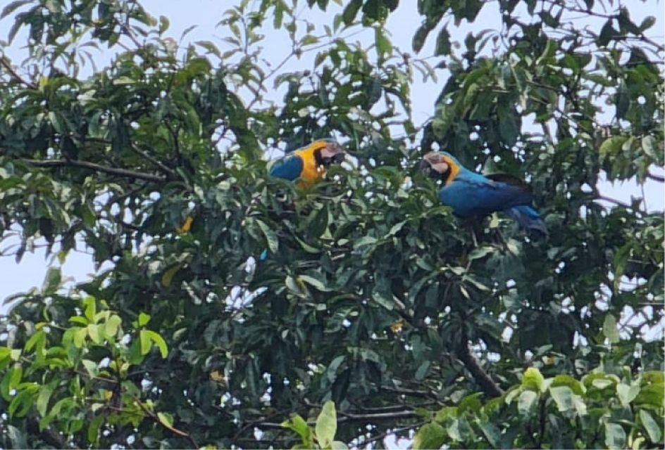 Iquitos: Full Day Wild Life in the Amazon - Booking Details