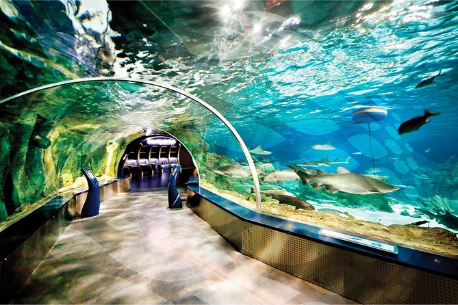 Istanbul Aquarium and Aqua Florya Independent Shopping Trip - Additional Information and Pricing