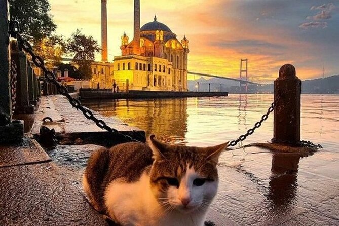 Istanbul Beyond the Top Attractions Full-Day Small-Group Tour - Transportation and Logistics