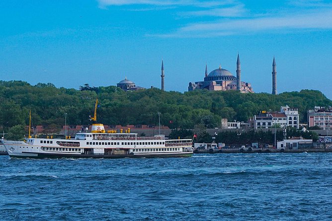Istanbul Bosphorus Cruise and Audio Guide App - Diversity of Activities Offered