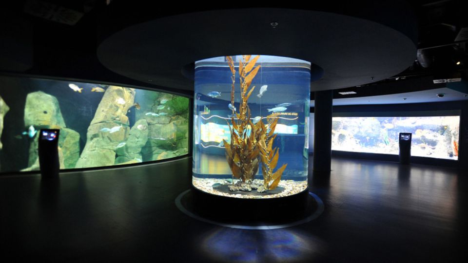 Istanbul: Istanbul Aquarium Ticket & Shuttle Bus From Taksim - Shuttle Bus Departure Details