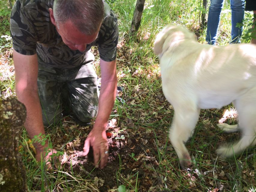 Istria - Truffles: Hunting & Cooking & Tasting, Slovenia - Directions and Meeting Point