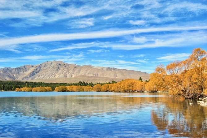 [Japanese Guide] Christchurch-Lake Tekapo Special Pick-up Plan - Detailed Pickup Information Provided