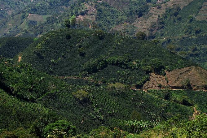 Jardín Coffee Tour Out of Medellín - Common questions