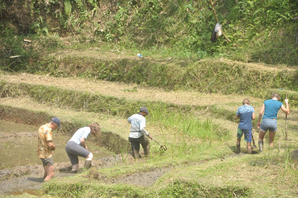 Jatiluwih : Highlights Trekking Best Bali Nature & Cultural - Immersive Experience in Jatiluwih