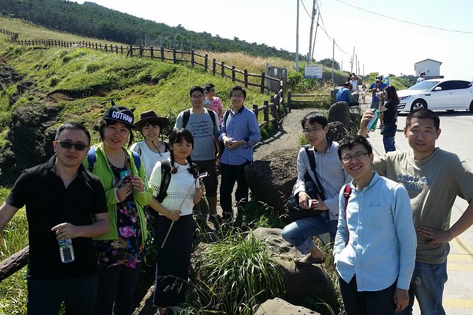 Jeju Island Guided Tour for 9 Hours With a Van - Pricing