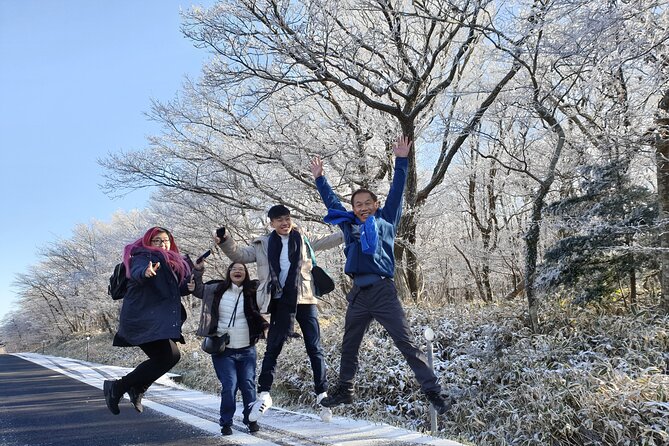 Jeju Island Private UNESCO PACKAGE Tour - for Cruise Customer - Pickup Point Logistics