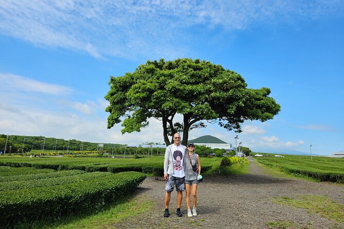 Jeju Private Tour Package-South of Jeju(Mt.Hallasan & Waterfalls) - Cancellation and Refund Procedures