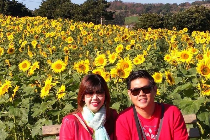 Jeju Taxi Tour - Couple Package (East & South or West & South) - Customer Support