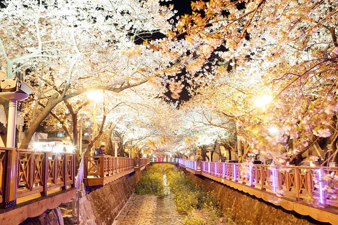 Jinhae Cherry Blossom Festival Tour - Inclusions and Exclusions