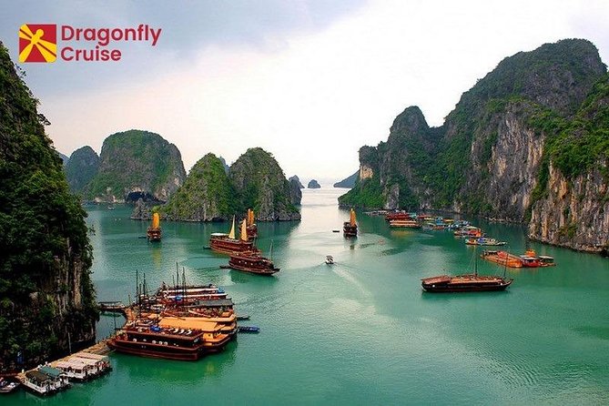 Join in Full-Day Halong Bay Islands and Cave Tour With Dragonfly Cruise - Customer Support