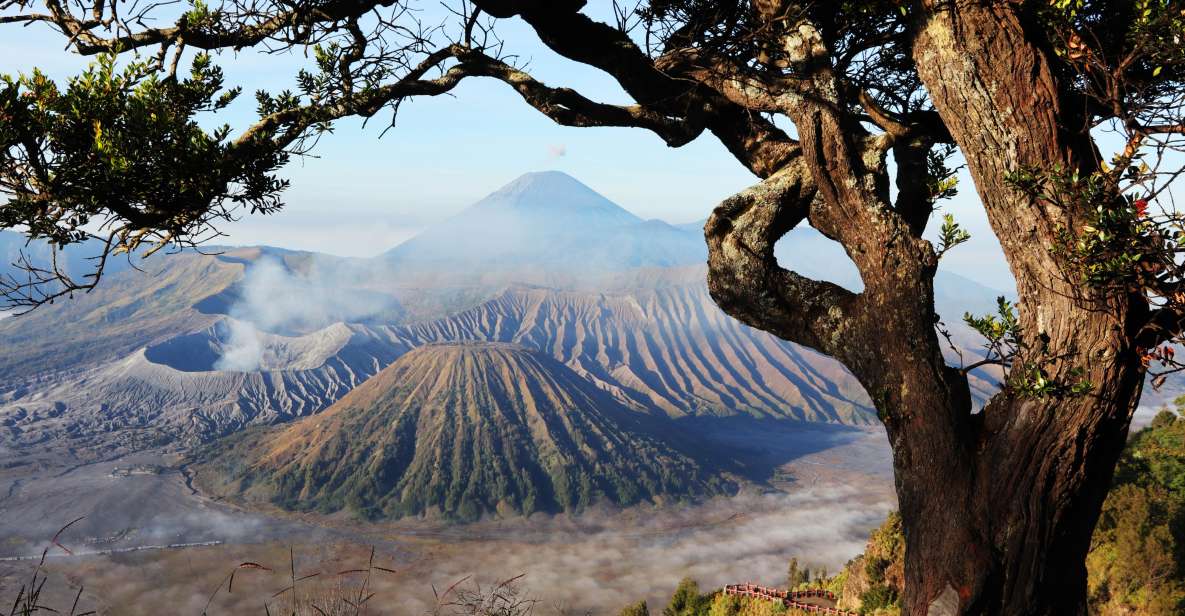 Join in Trip Bromo From Malang - Location Information