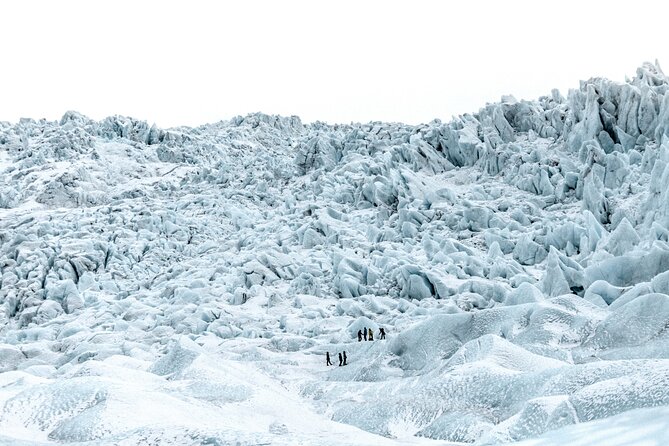 Jökulsárlón Glacier Lagoon 2 Day Tour & Optional Glacier Hike - Recommendations and Testimonials