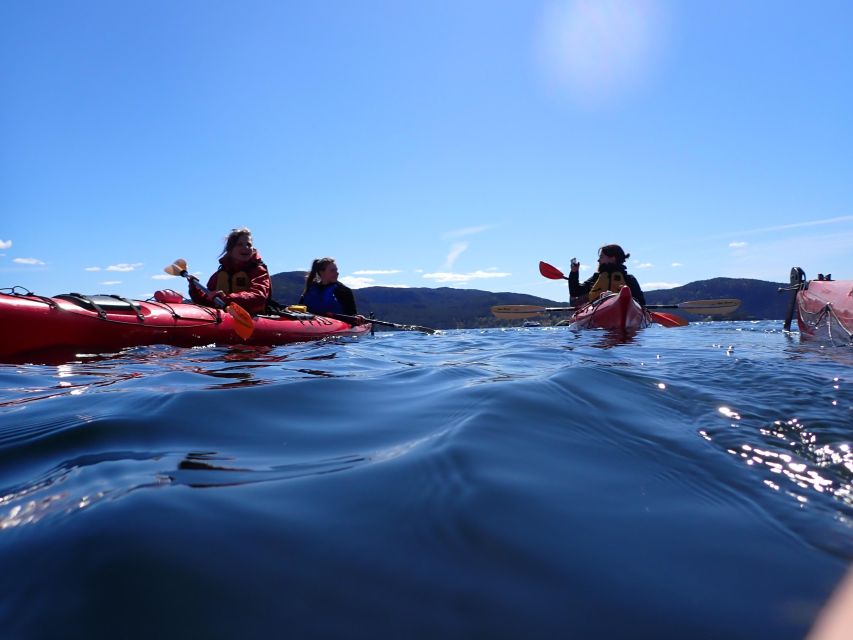 Jørpeland: Guided Fjordtour Kayak - Additional Options