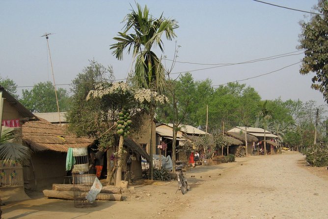 Jungle Safari Tour in Chitwan National Park - Last Words