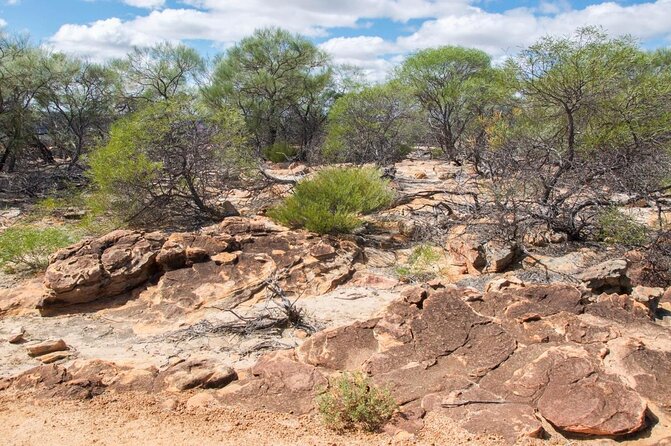 Kalbarri Outback River & Gorges - Ground & Air Tour - Weather-Dependent Experience Advisory