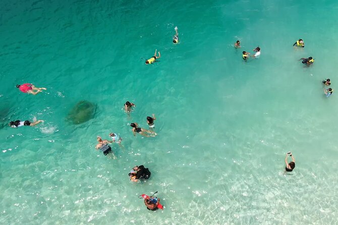 Kaneohe Sandbar Snorkeling Tour / 1st Tour - Customer Reviews and Feedback