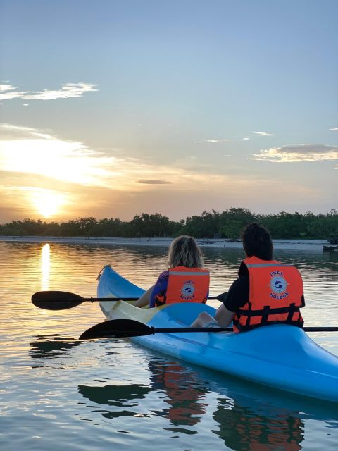 Kayak Tour Through Holbox Mangroves - Wildlife Encounters and Sightings
