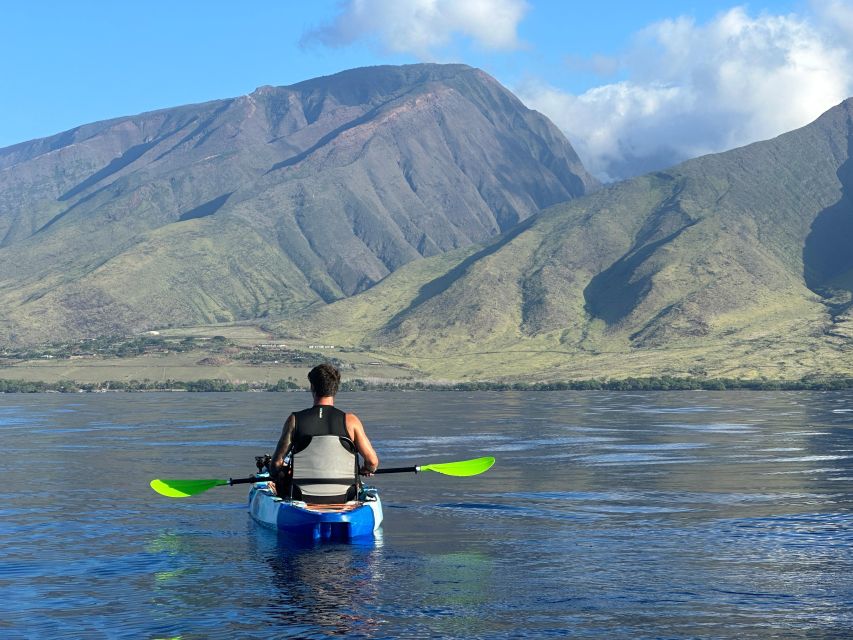 Kayak, Whale Watch And Snorkel At Turtle Town - Traveler Review