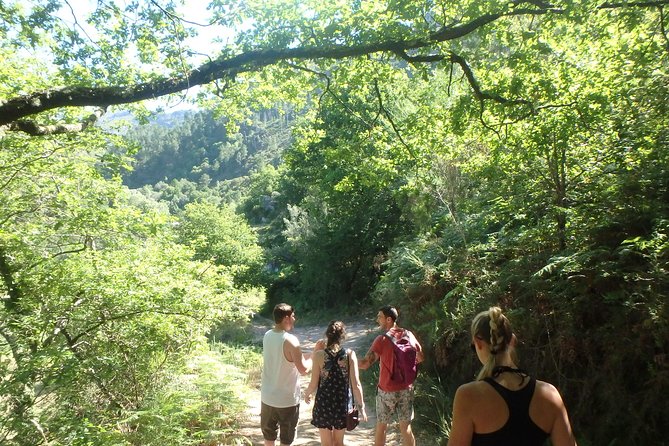 Kayaking and Waterfall in Peneda-Gerês National Park From Porto - Flora and Fauna Insights