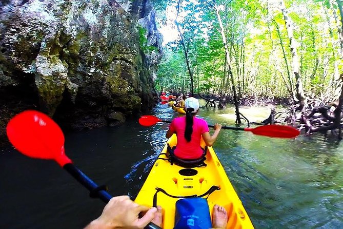 Kayaking in Ao Thalane - Discover the Mangrove Life - How to Book