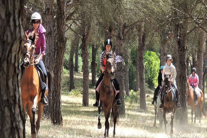 Kemer Horse Safari Experience With Free Hotel Transfer - Traveler Reviews