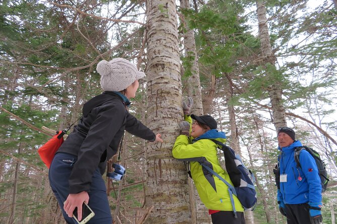 Kemonomichi Snowshoeing in the Virgin Forest - Additional Information