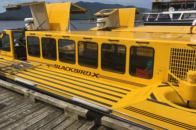 Ketchikan Wildlife-Viewing Hovercraft Tour - Tour Duration and Tickets