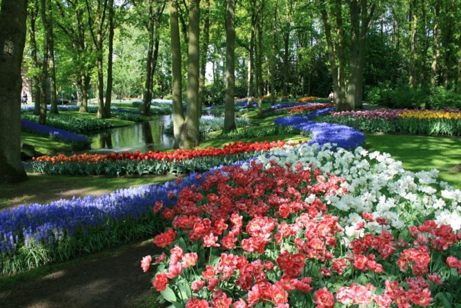 Keukenhof Private Tour & Into Flowerfields off the Beaten Tracks - Exclusive Floral Scenery Access