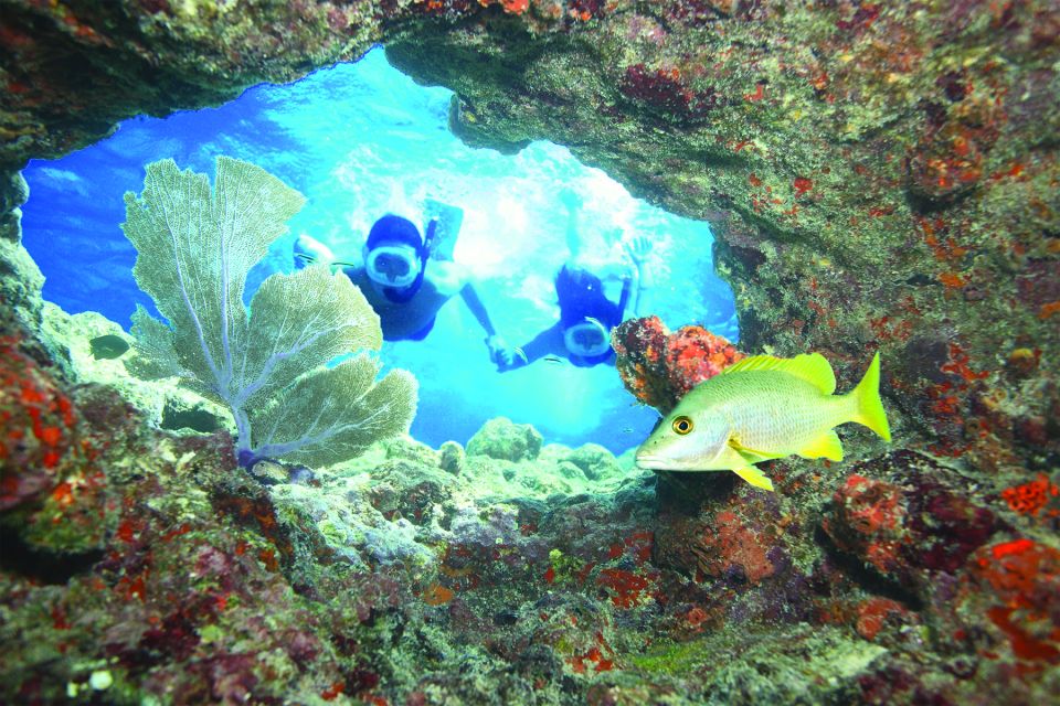Key West: 3-Hour Snorkeling Adventure - Customer Reviews and Ratings