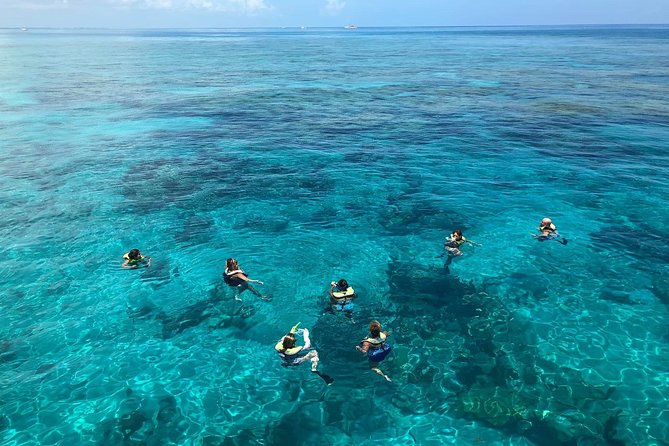 Key West Afternoon Reef Snorkeling With Open Bar - Cancellation Policy Details