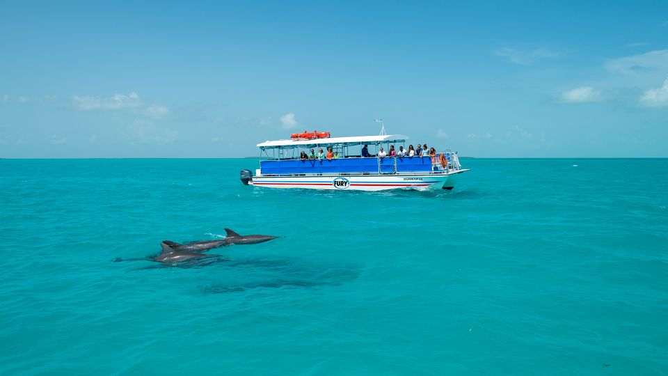 Key West: Dolphin Watching and Snorkeling Eco Cruise Tour - Location and Logistics