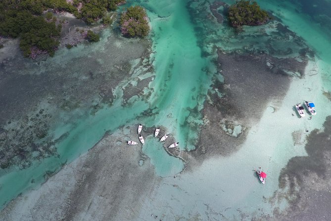 Key West Safari Eco Tour Adventure With Snorkeling - Cancellation Policy and Booking Information