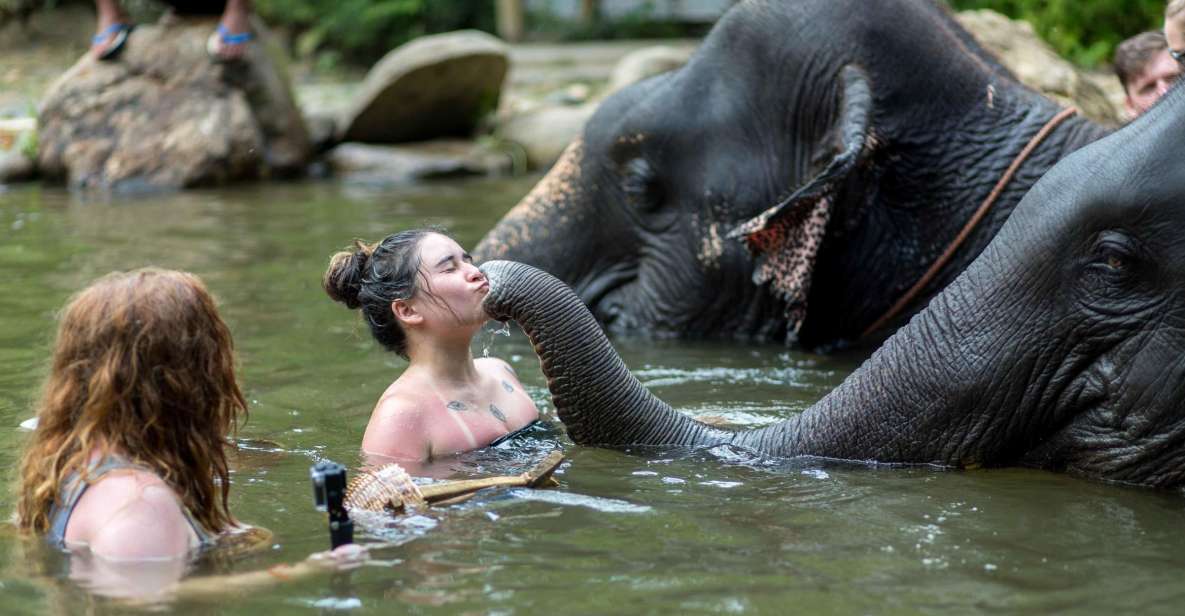 Khao Lak: Elephant Care Experience - Cancellation Policy