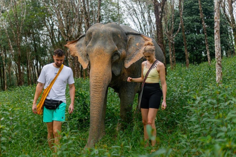 Khao Lak: Elephant Sanctuary Visit and Mangrove Kayak Tour - Additional Information