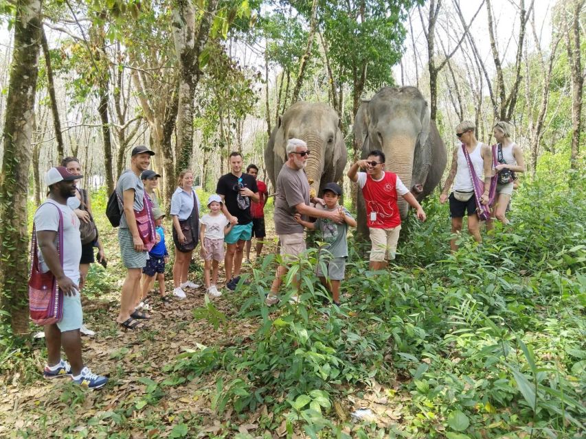 Khaolak: Sunset Elephant Walk With Complimentary Cocktail - Sunset Jungle Experience