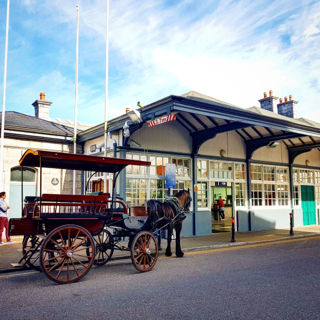 Killarney: Jaunting Car Tour With Craft Brewery Visit - Customer Reviews