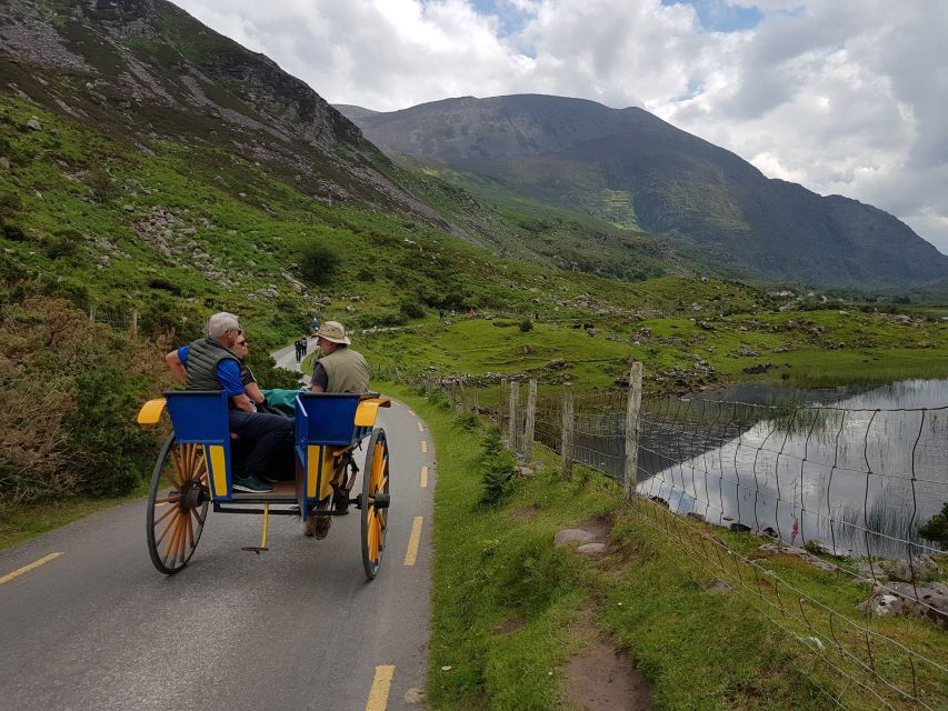 Killarney: Lakes of Killarney Boat Tour With Transfer - Inclusions