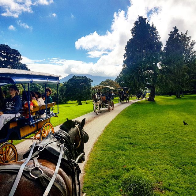 Killarney on Horse & Carriage: 1-Hour Jaunting Car Tour - Full Description