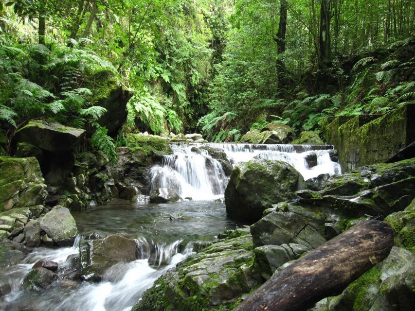 Kings Levada (Ribeiro Bonito) - Last Words