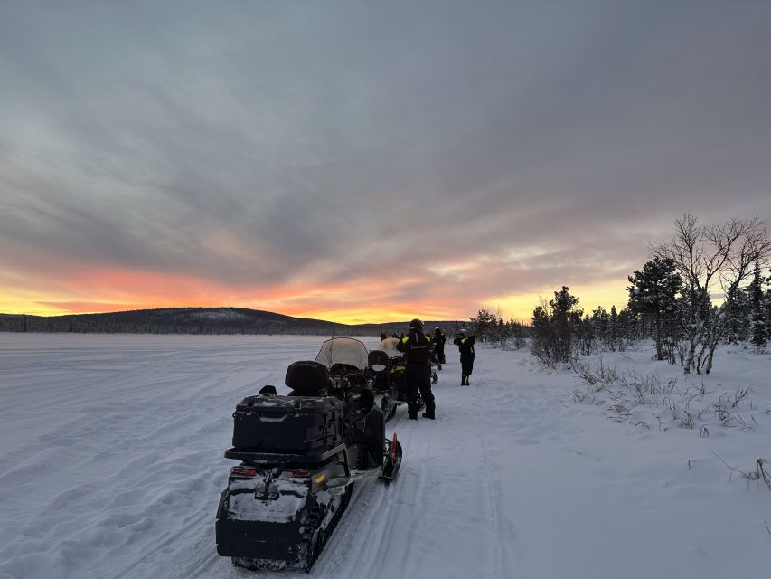 Kiruna: Guided Snowmobile Tour and Swedish Fika Experience - Encounter Wildlife in Lapland