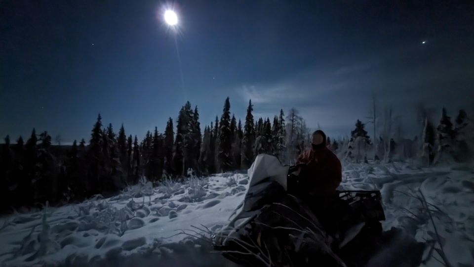 Kiruna: Private Snowmobile Forest Tour With Hot Drink - Tour Highlights