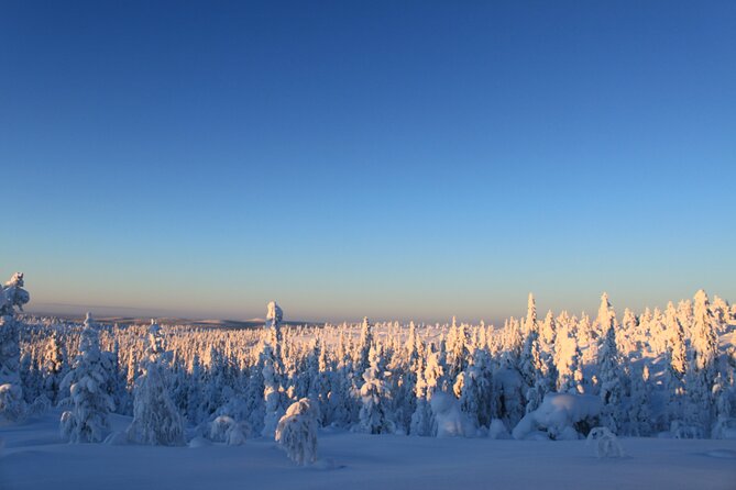 Kiruna Small-Group Snowshoe Activity - Visual Content and Additional Information