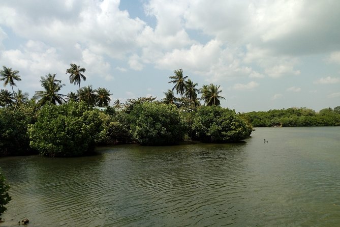 Koggala Lake Boat Tour - Customer Reviews and Ratings