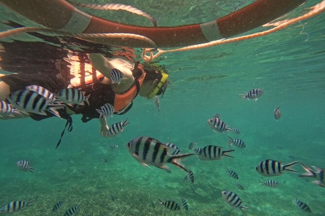 Koh Tao and Koh Nang Yuan Speedboat Tour From Koh Phangan - Important Reminders