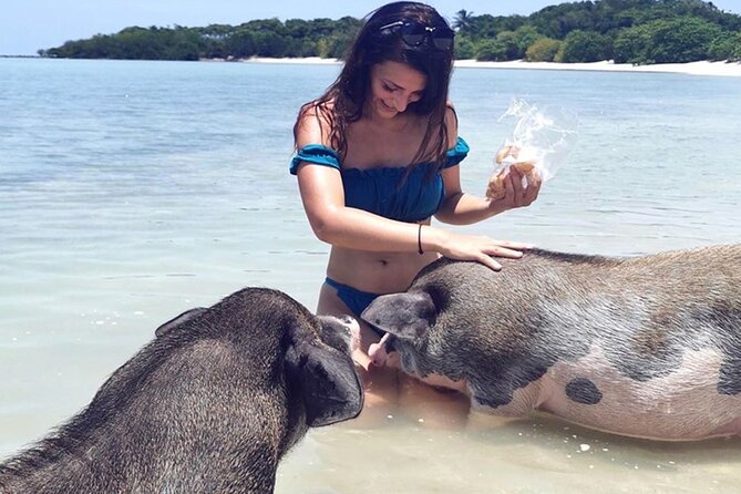 Kohsamui.Tours - Pig Island Snorkeling Eco Tour by Speed Boat - Common questions