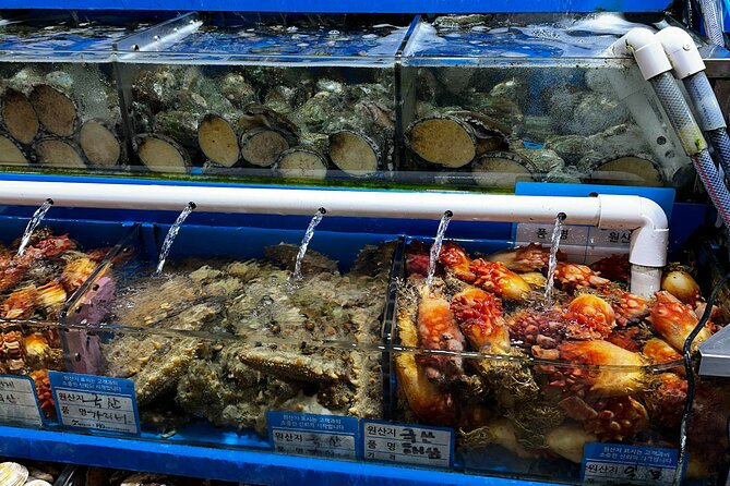 Korean Market Adventure With Chef Yie - Noryangjin Fish Market - Culinary Delights