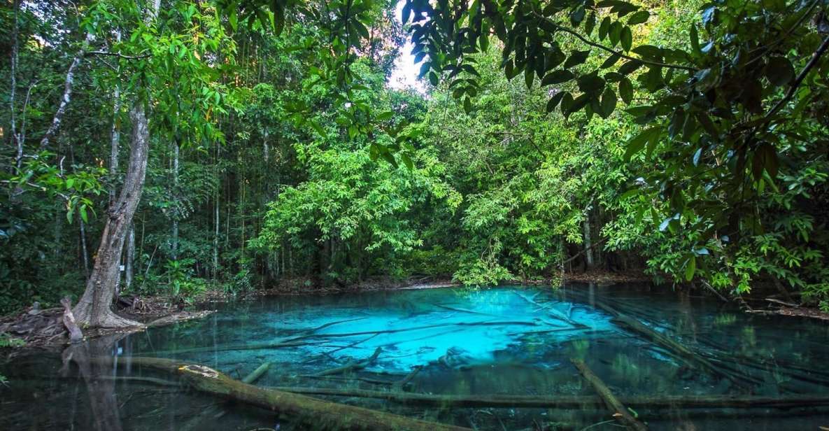 Krabi: Full-Day Jungle Cycling and Emerald Pool Tour - Activity Inclusions and Group Size